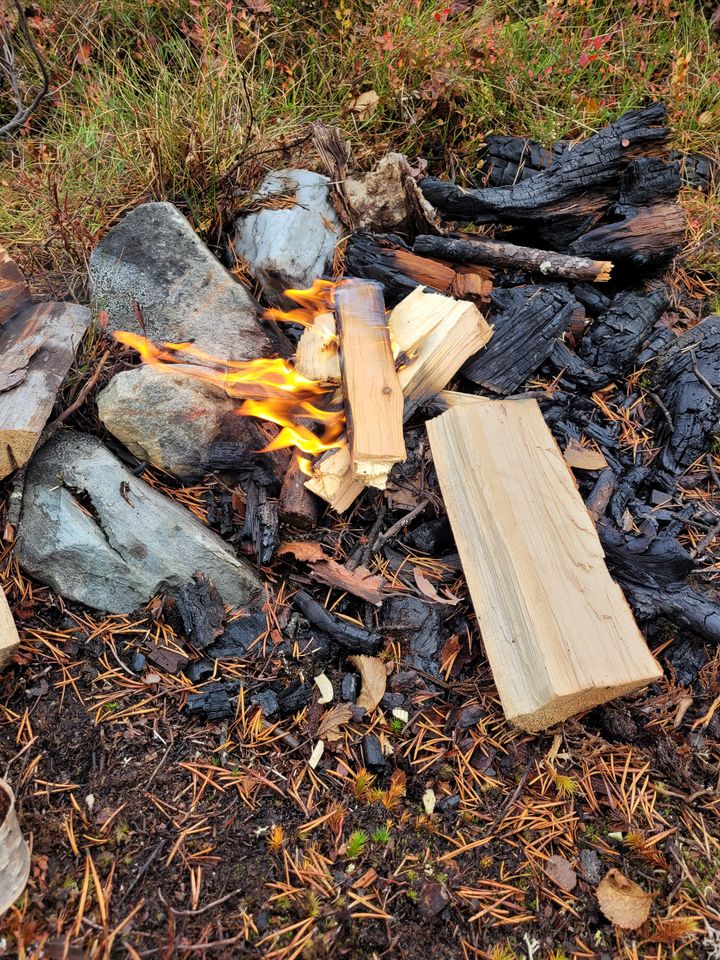 En tur på myra